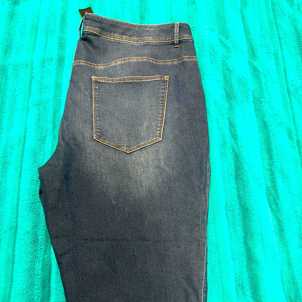 Women’s Plus Size Capri, Lane Bryant